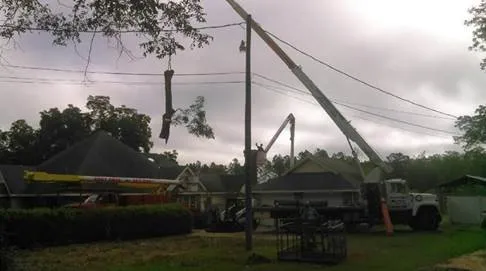 Professional garden landscaping in Chipley, FL - Easy Care Tree Service