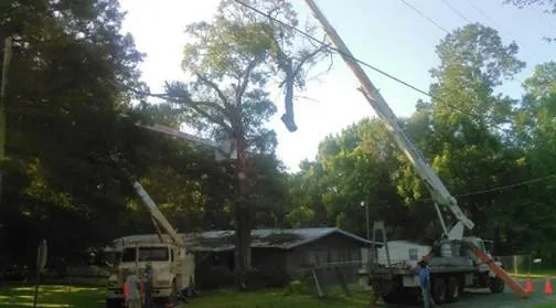 Custom landscaping services near you in Chipley, FL by Easy Care Tree Service