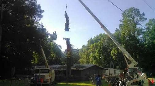 Custom yard maintenance in Chipley, FL by Easy Care Tree Service