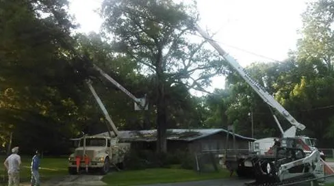 Trusted landscaping services in Chipley, FL - Easy Care Tree Service