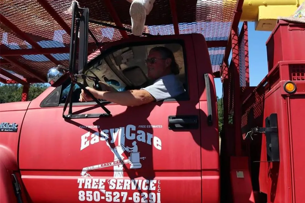 Top-rated landscaping services in Chipley, FL - Easy Care Tree Service