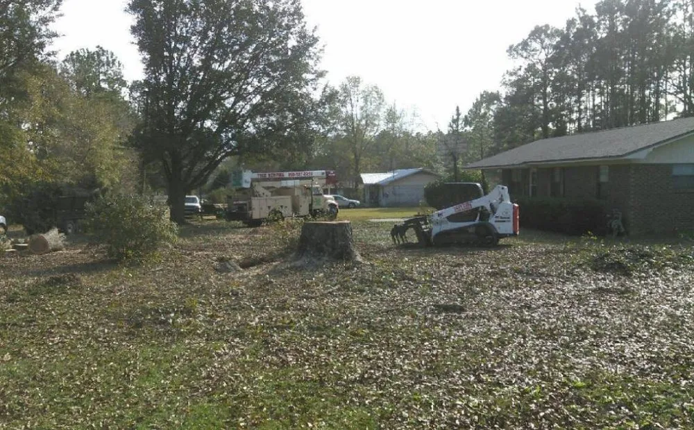 Local lawn care service in Chipley, FL by Easy Care Tree Service