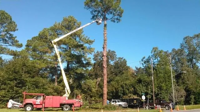 Trusted lawn mowing service in Chipley, FL by Easy Care Tree Service