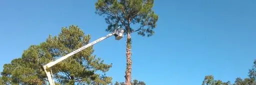 Trusted lawn mowing service in Chipley, FL by Easy Care Tree Service