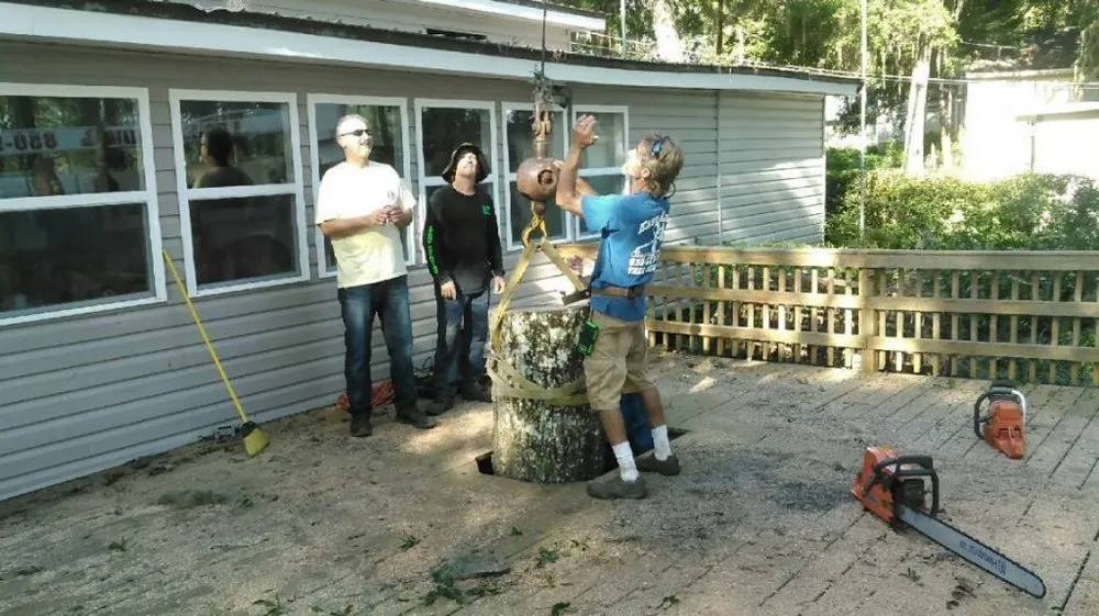 Custom yard cleanup service for residential properties across Chipley, FL - Easy Care Tree Service