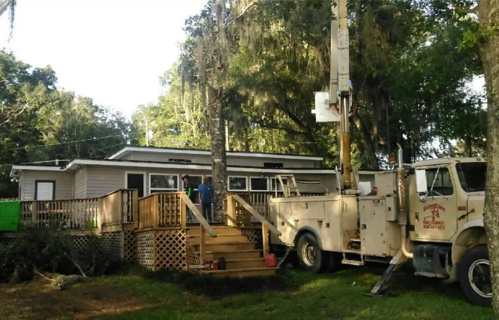 Local outdoor landscaping experts serving Chipley, FL - Easy Care Tree Service