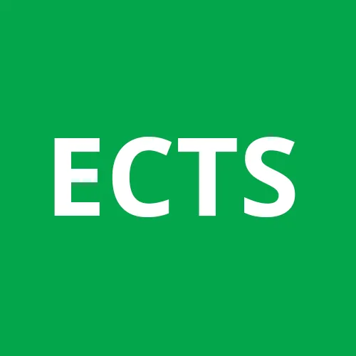 Custom outdoor landscaping experts serving Chipley, FL - Easy Care Tree Service