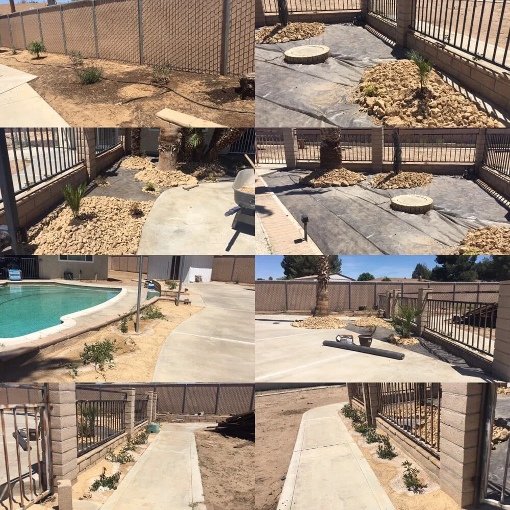 Trusted lawn care service in Apple Valley, CA - Easy Clean Up and Landscaping
