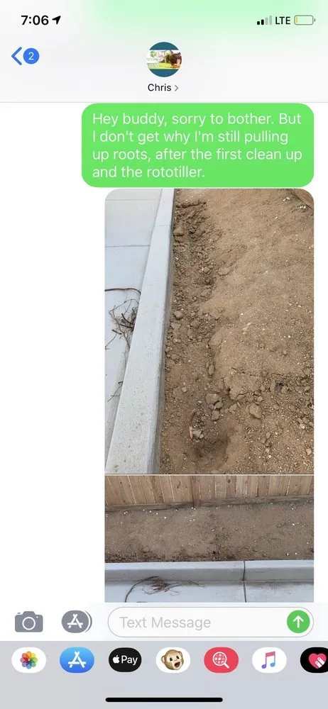 Professional landscaping services experts serving Apple Valley, CA - Easy Clean Up and Landscaping