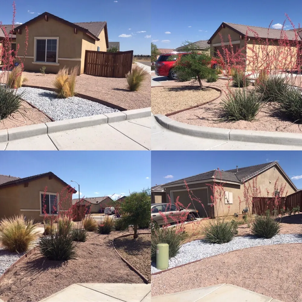 Affordable lawn care service for year-round maintenance across Apple Valley, CA - Easy Clean Up and Landscaping