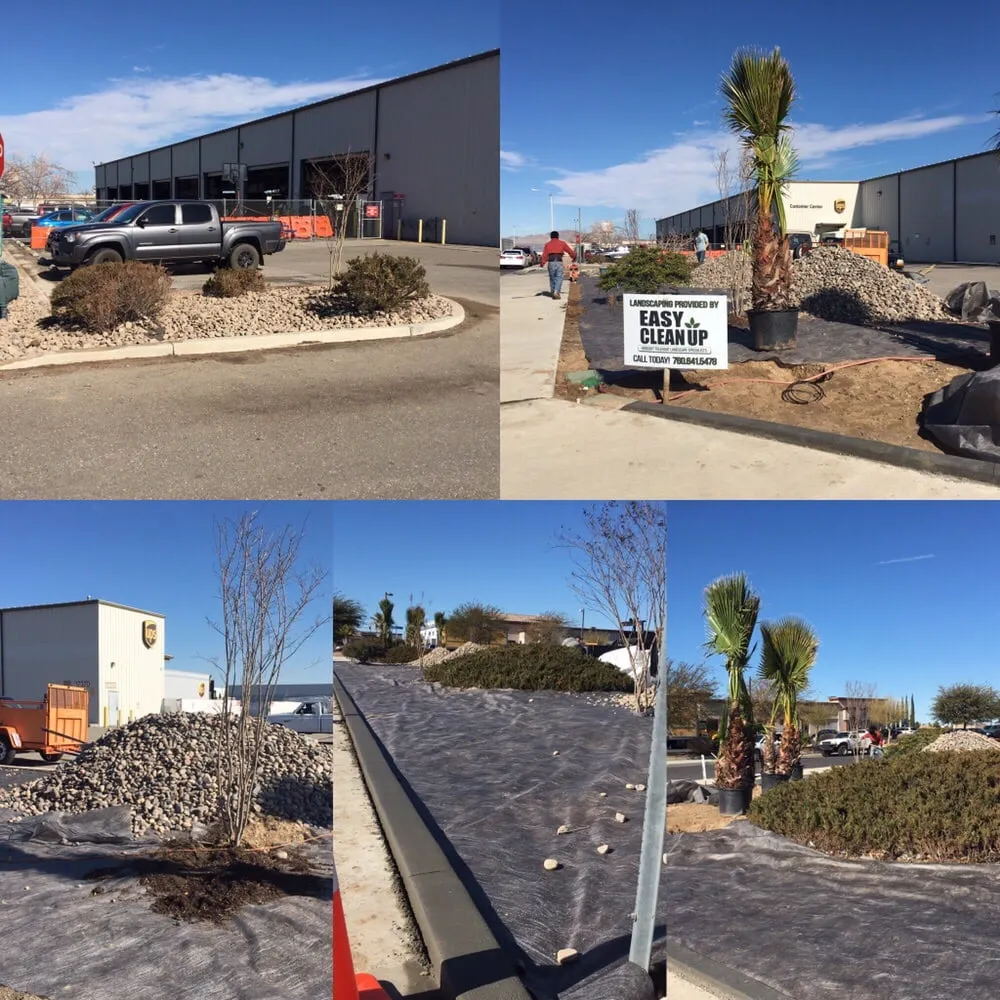 Reliable yard maintenance in Apple Valley, CA by Easy Clean Up and Landscaping