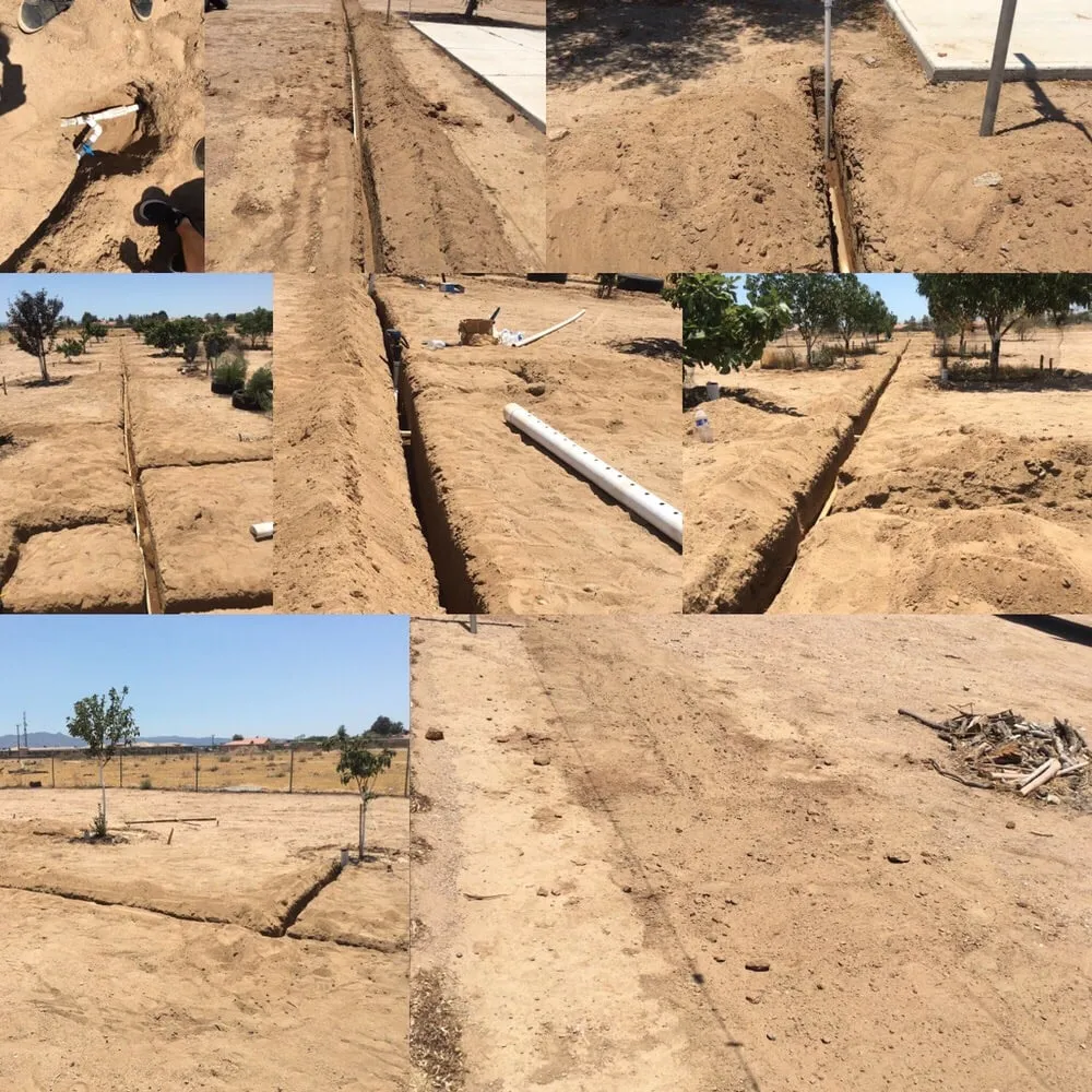 Top-rated landscaping services in Apple Valley, CA by Easy Clean Up and Landscaping