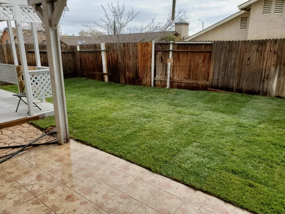 Affordable landscape design in Apple Valley, CA by Easy Clean Up and Landscaping