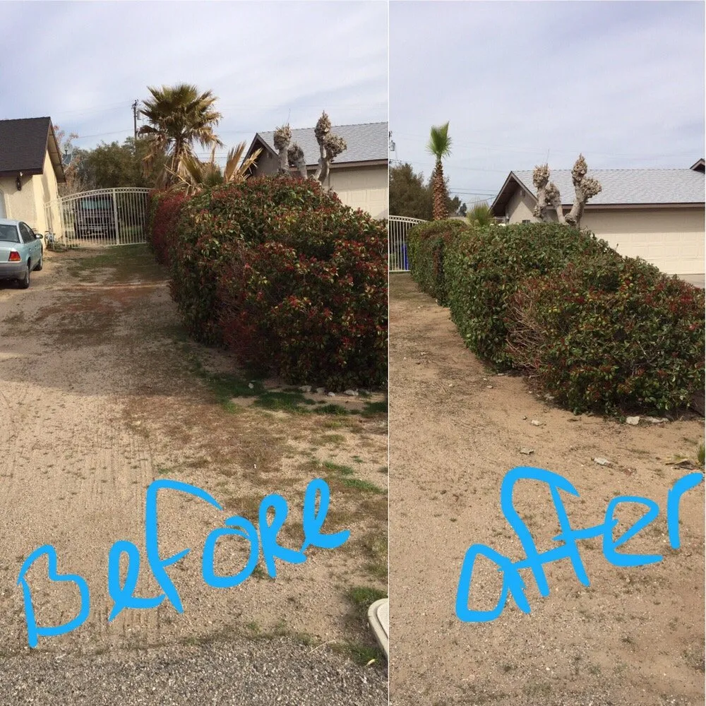 Top-rated landscaping services in Apple Valley, CA by Easy Clean Up and Landscaping