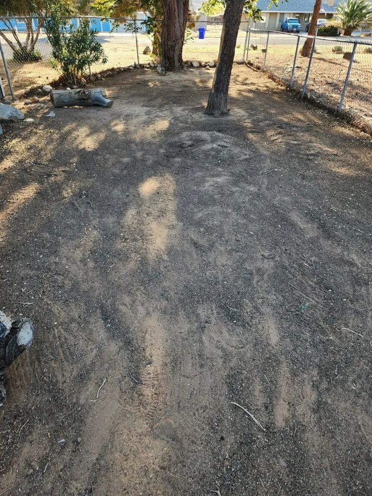 Top-rated landscape design with custom design across Apple Valley, CA - Easy Clean Up and Landscaping