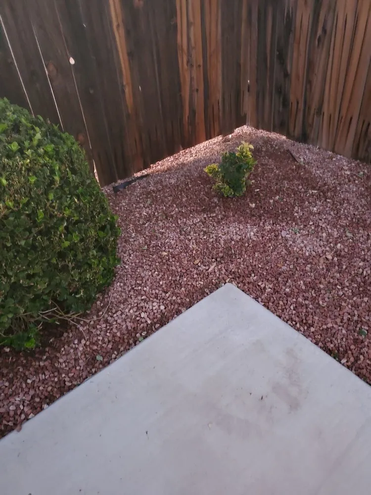 Local lawn mowing service experts serving Apple Valley, CA - Easy Clean Up and Landscaping