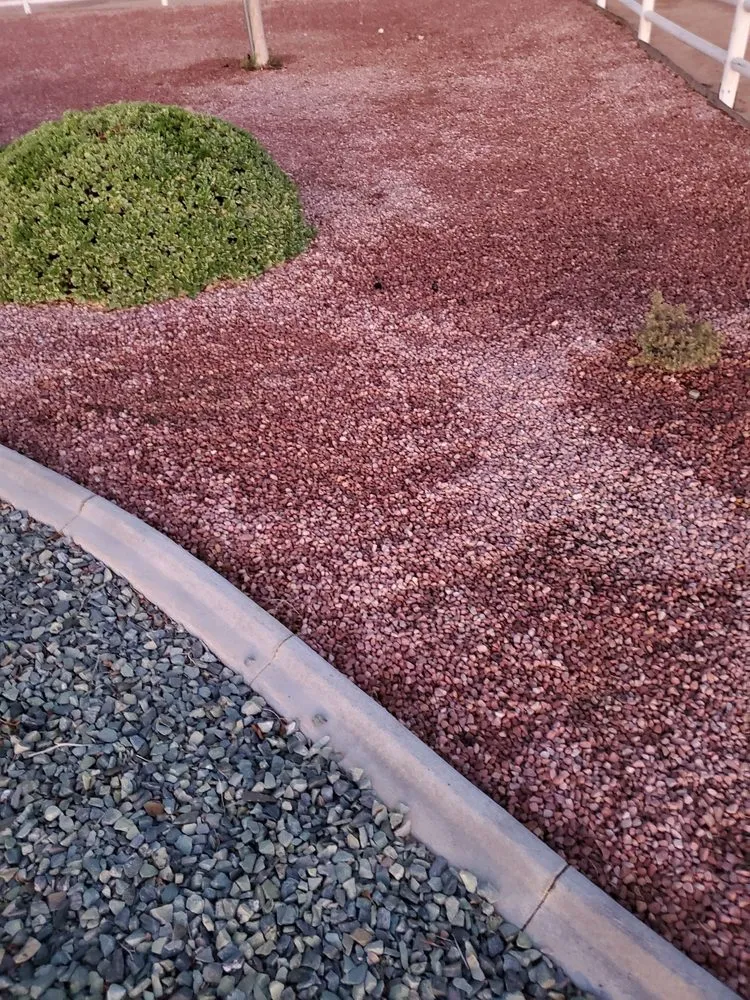 Affordable residential landscaping in Apple Valley, CA - Easy Clean Up and Landscaping