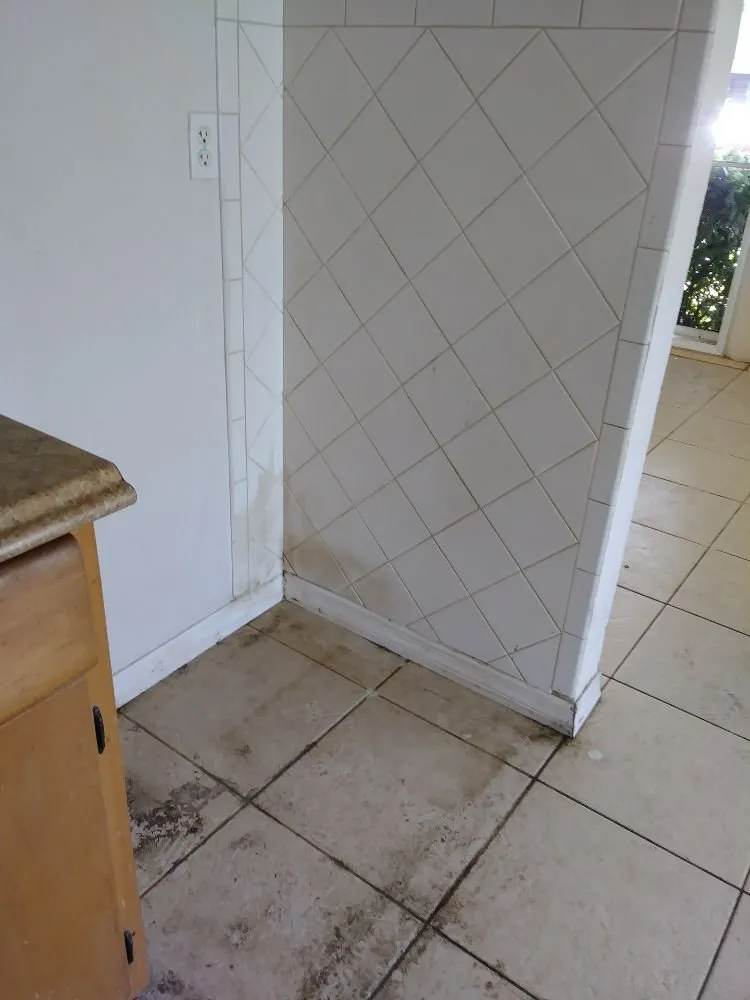 Trusted yard cleanup service experts serving Pt Charlotte, FL - Easy Cut Blessing's