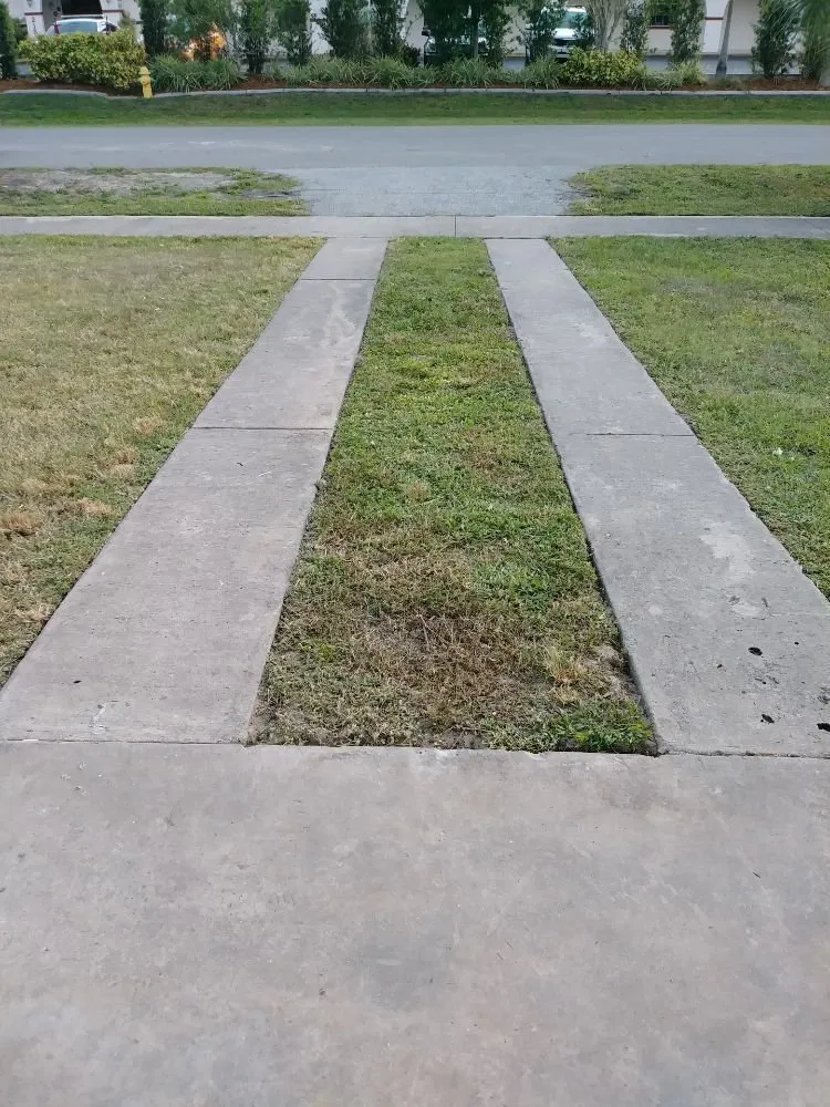 Custom landscape design in Pt Charlotte, FL - Easy Cut Blessing's