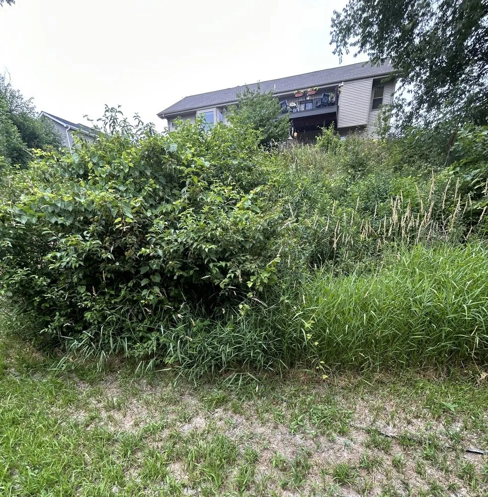 Trusted landscaping services for outdoor upgrades in Johnson Creek, WI by Easy Does It Landscaping