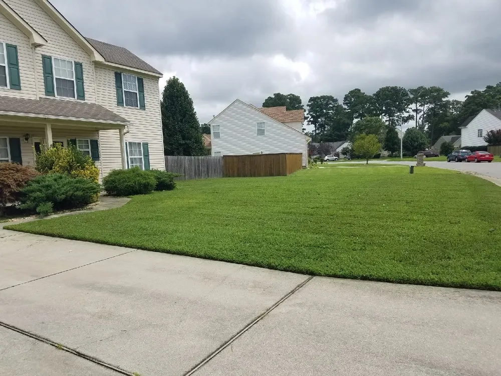 Expert landscaping services in Newport News, VA by Easy Does It Lawn Care & More