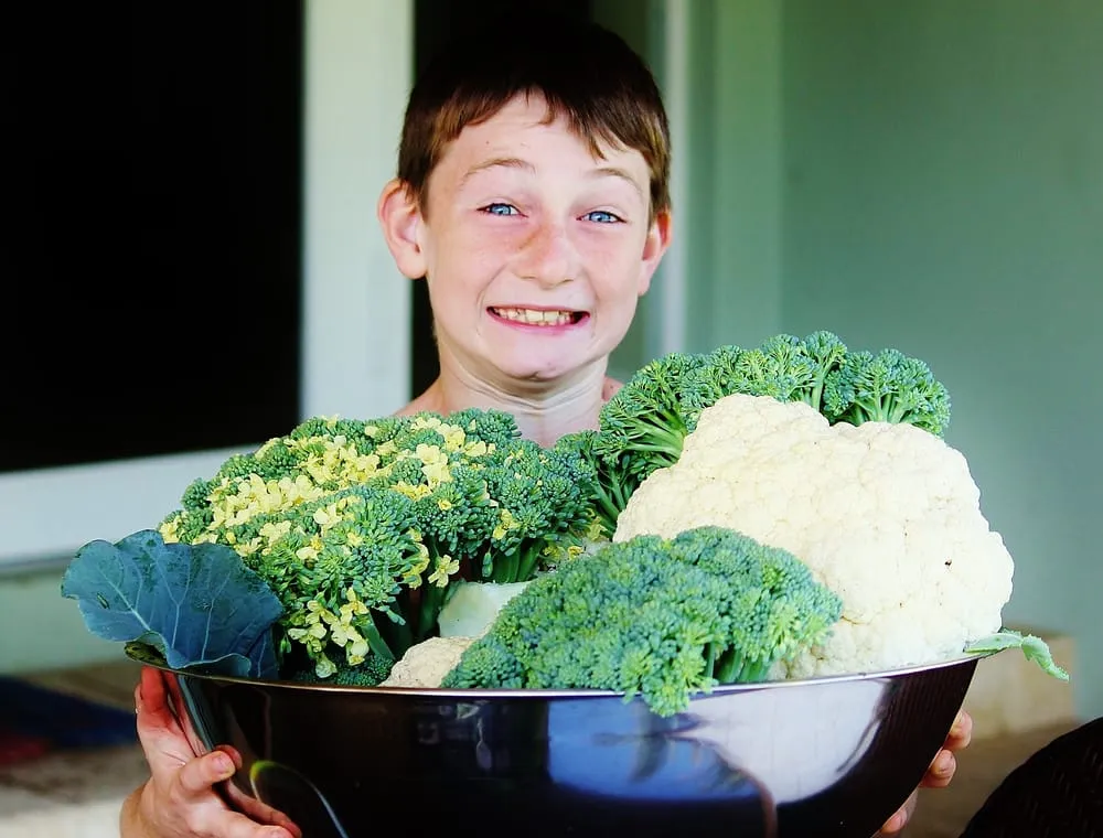 Reliable residential landscaping with custom design in Miami, FL by Easy Edible Landscapes