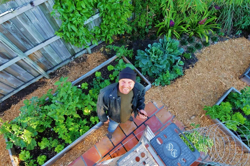 Reliable yard cleanup service in Miami, FL - Easy Edible Landscapes