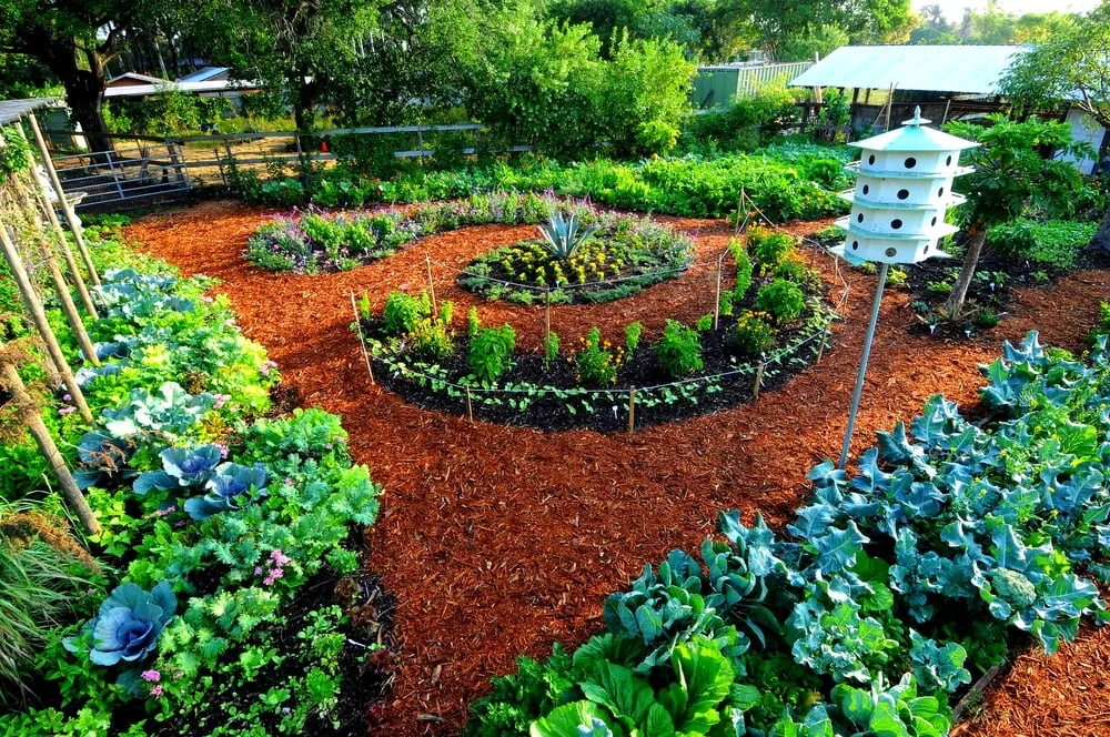 Local landscape installation experts serving Miami, FL - Easy Edible Landscapes