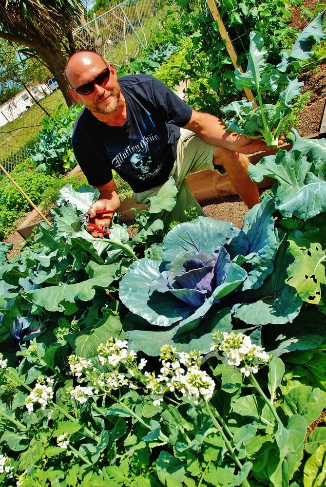 Reliable residential landscaping in Miami, FL by Easy Edible Landscapes