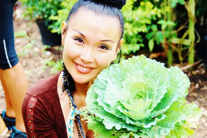 Professional lawn mowing service for beautiful yards across Miami, FL - Easy Edible Landscapes