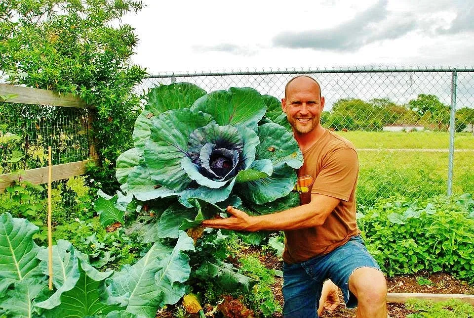 Custom landscape installation in Miami, FL - Easy Edible Landscapes