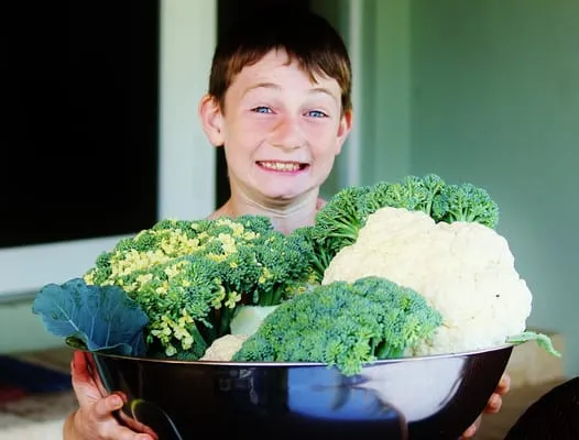 Easy Edible Landscapes Logo