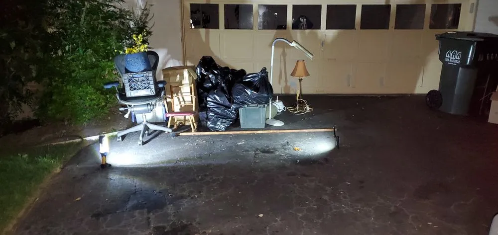 Professional landscape design in Washington DC, DC by Easy Fast Clean