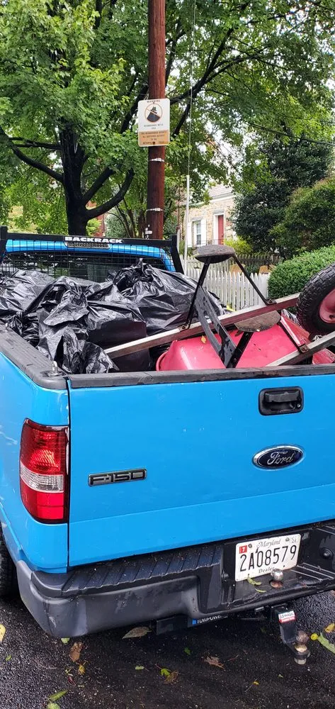 Expert landscape design for year-round maintenance across Washington DC, DC - Easy Fast Clean