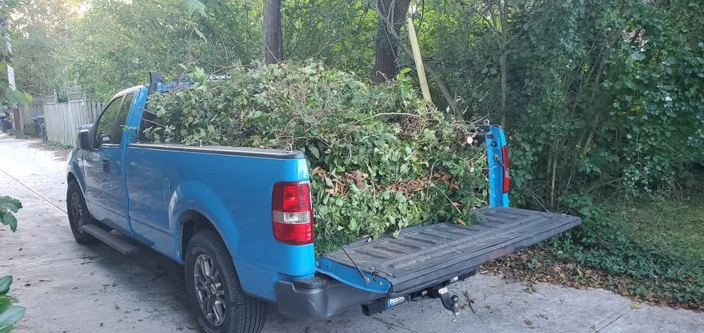 Professional landscape installation in Washington DC, DC by Easy Fast Clean