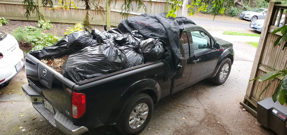 Expert landscape installation in Washington DC, DC - Easy Fast Clean