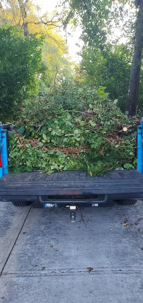 Trusted landscape design for residential properties in Washington DC, DC by Easy Fast Clean