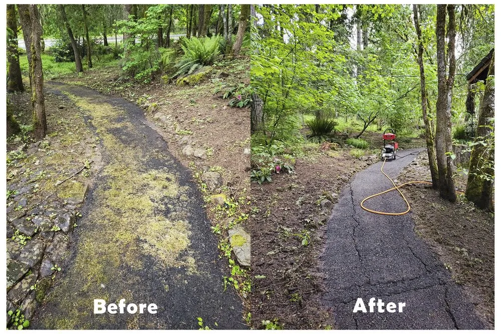 Professional lawn care service for beautiful yards in Eugene, OR by Easy Flow Gutter