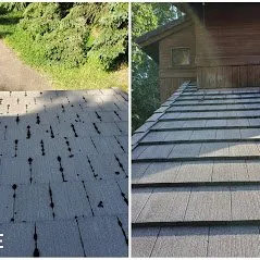 Affordable yard maintenance for beautiful yards in Eugene, OR by Easy Flow Gutter