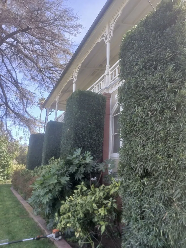 Affordable outdoor landscaping in Riverside, CA by Easy Garden Landscape