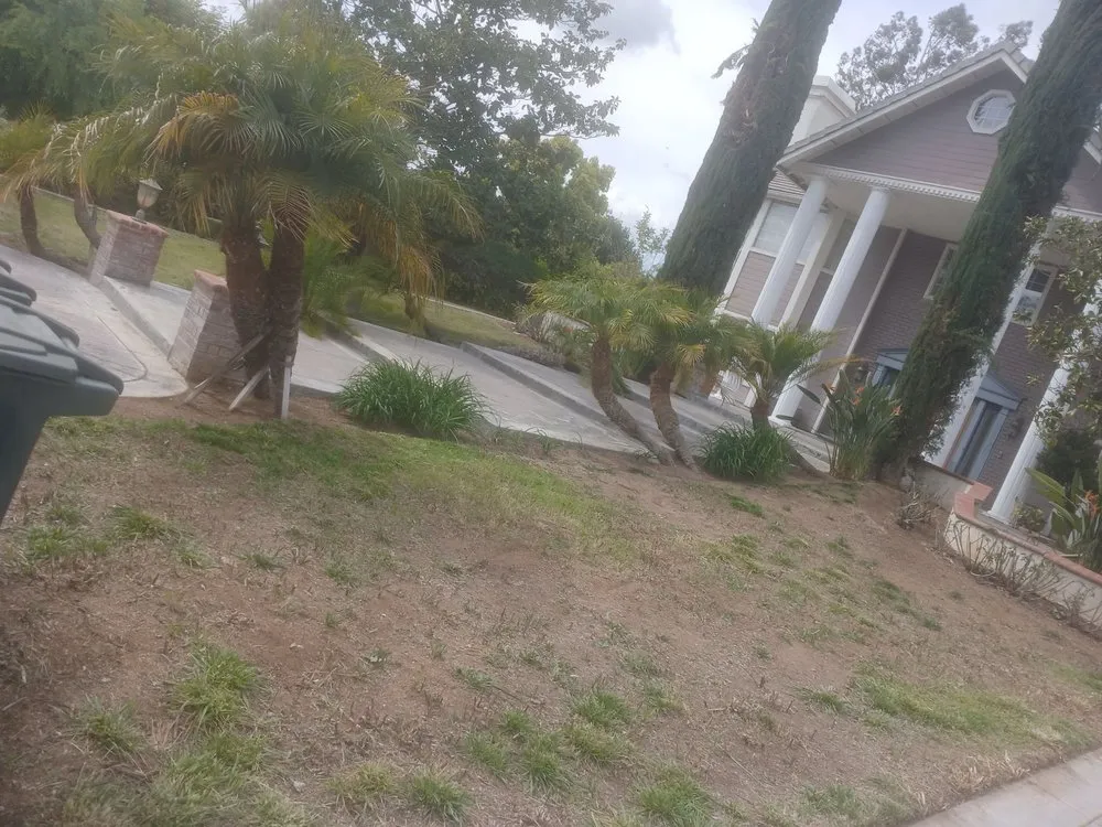 Custom landscaping services in Riverside, CA by Easy Garden Landscape