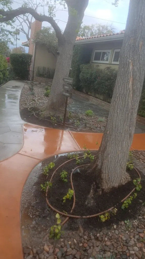 Affordable residential landscaping experts serving Riverside, CA - Easy Garden Landscape