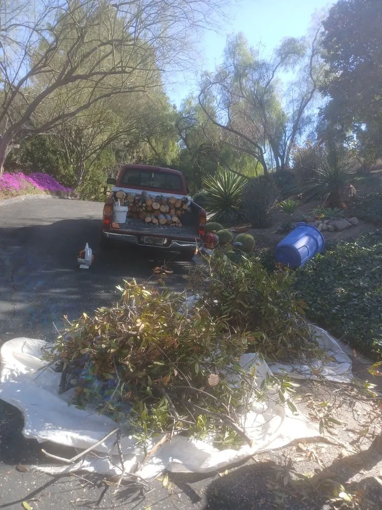 Top-rated landscape installation experts serving Riverside, CA - Easy Garden Landscape