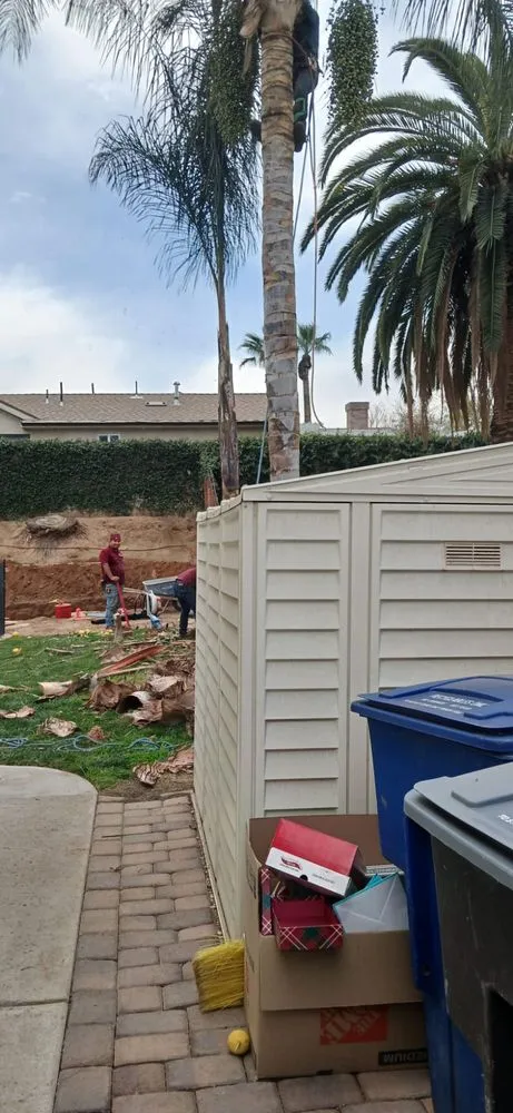 Professional landscaping services in Riverside, CA - Easy Garden Landscape