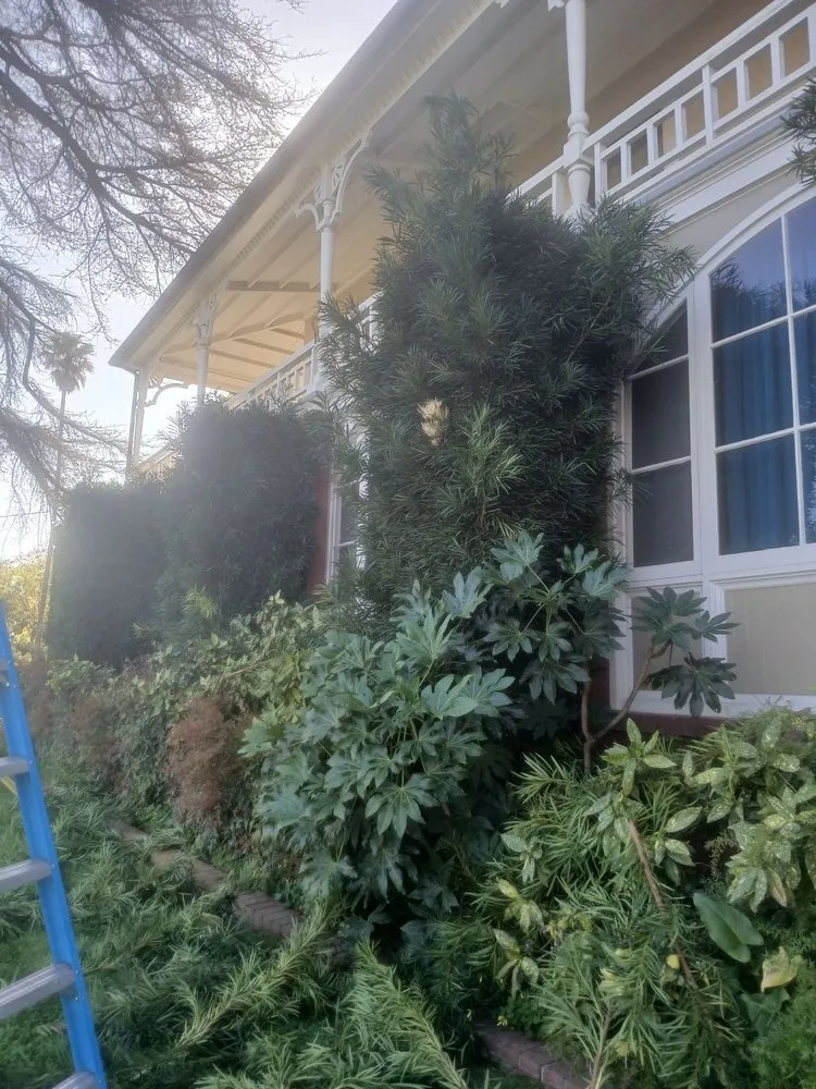 Top-rated yard maintenance in Riverside, CA - Easy Garden Landscape