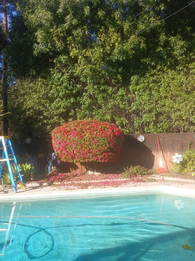 Affordable lawn mowing service with custom design across Riverside, CA - Easy Garden Landscape