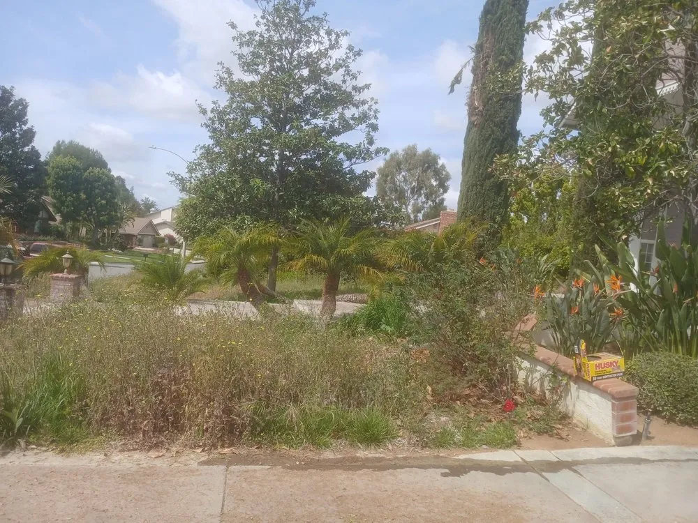 Trusted landscape design experts serving Riverside, CA - Easy Garden Landscape