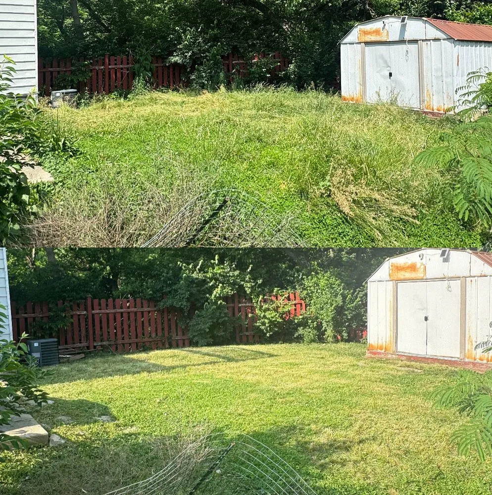 Custom landscape installation in Cold Spring, KY by Easy Green