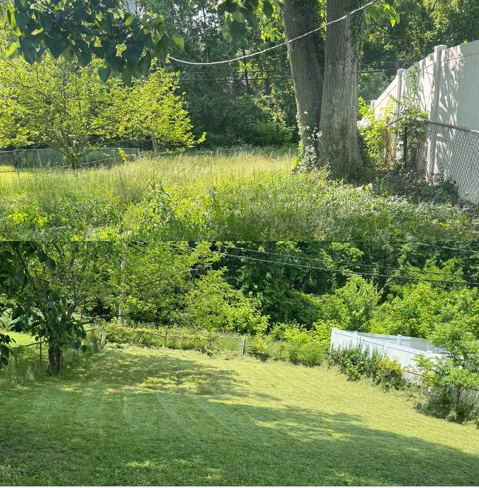 Affordable landscape design in Cold Spring, KY - Easy Green