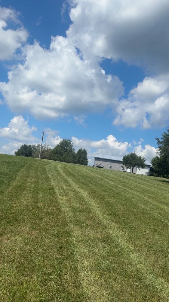 Affordable yard cleanup service experts serving Cold Spring, KY - Easy Green